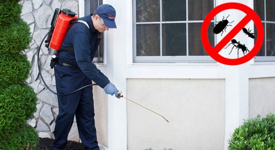Çorum Bit İlaçlama böcek ilaçlama ve haşere kontrolü — ilaclama-tr.com